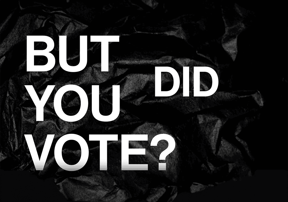 Graphic reading 'But Did You Vote?'